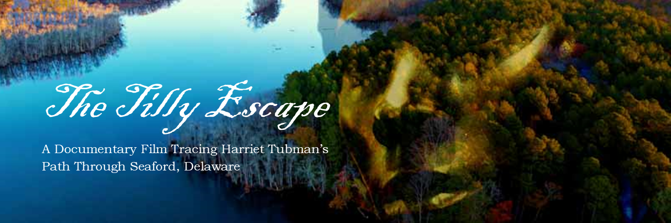 Tilly Escape Website banner